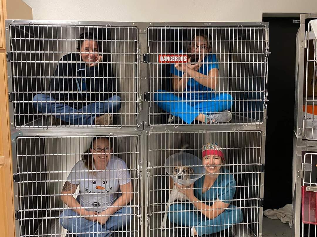 Citrus County Animal Services staff